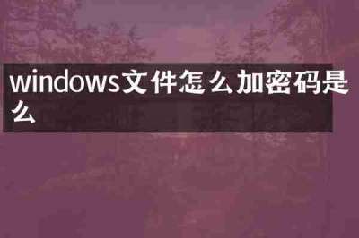 windows文件怎么加密码是什么