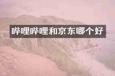 哔哩哔哩和京东哪个好