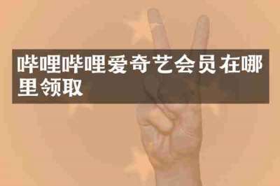 哔哩哔哩爱奇艺会员在哪里领取