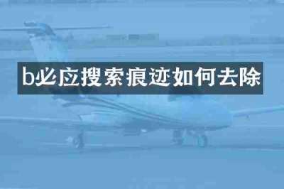 b必应搜索痕迹如何去除