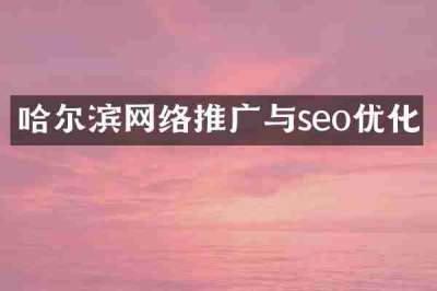 哈尔滨网络推广与seo优化