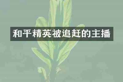 和平精英被追赶的主播