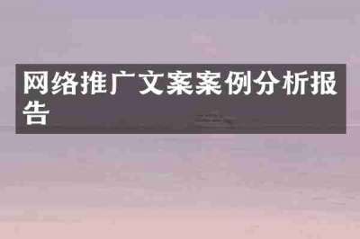 网络推广文案案例分析报告