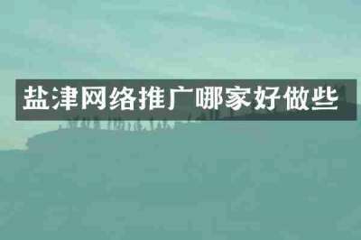 盐津网络推广哪家好做些