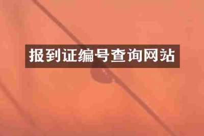 报到证编号查询网站