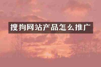 搜狗网站产品怎么推广