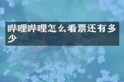 哔哩哔哩怎么看票还有多少