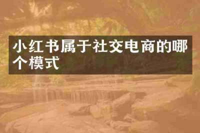 小红书属于社交电商的哪个模式