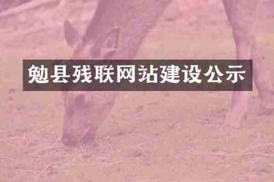 勉县残联网站建设公示