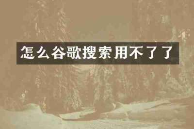 怎么谷歌搜索用不了了