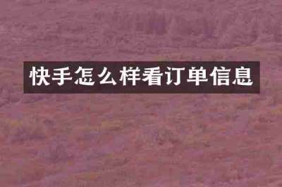 快手怎么样看订单信息
