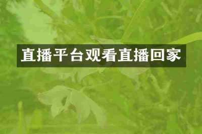 直播平台观看直播回家