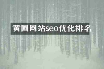 黄圃网站seo优化排名