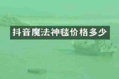 抖音魔法神毯价格多少