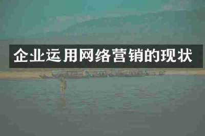 企业运用网络营销的现状