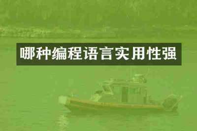 哪种编程语言实用性强