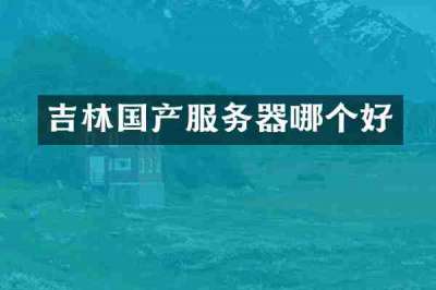 吉林国产服务器哪个好