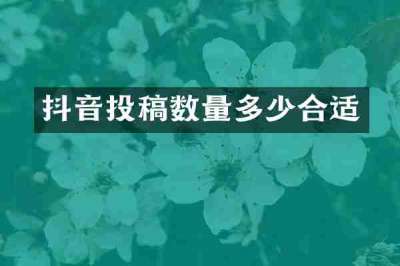 抖音投稿数量多少合适