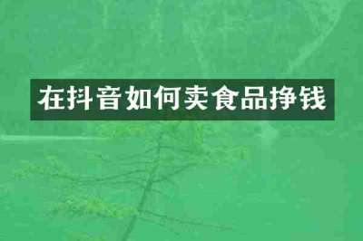 在抖音如何卖食品挣钱