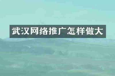 武汉网络推广怎样做大