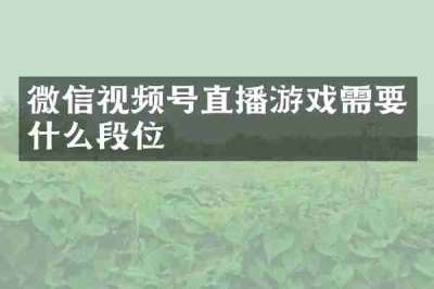 微信视频号直播游戏需要什么段位