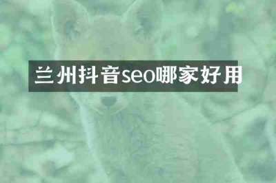 兰州抖音seo哪家好用