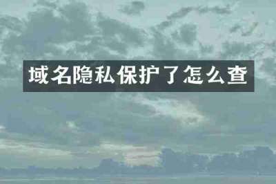 域名隐私保护了怎么查