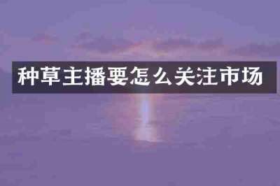 种草主播要怎么关注市场
