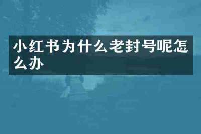 小红书为什么老封号呢怎么办