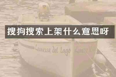 搜狗搜索上架什么意思呀