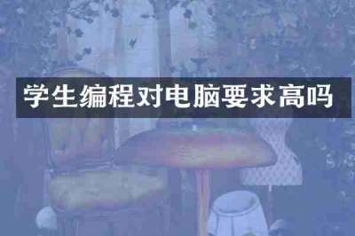 学生编程对电脑要求高吗