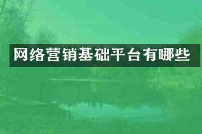 网络营销基础平台有哪些