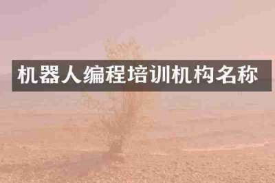 机器人编程培训机构名称