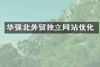 华强北外贸独立网站优化