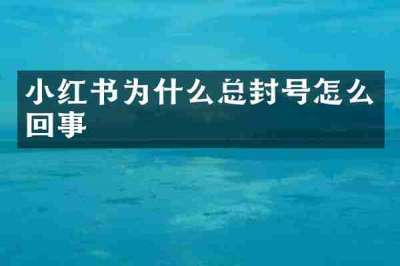 小红书为什么总封号怎么回事