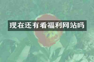现在还有看福利网站吗