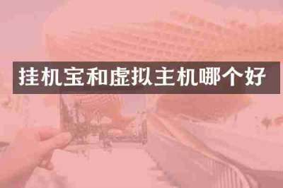 挂机宝和虚拟主机哪个好