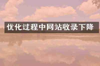 优化过程中网站收录下降