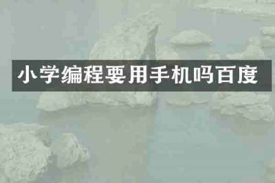 小学编程要用手机吗百度