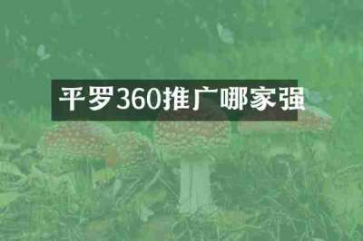 平罗360推广哪家强