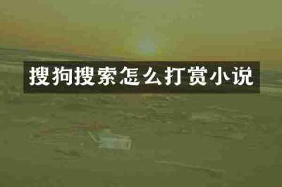 搜狗搜索怎么打赏小说