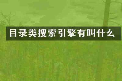 目录类搜索引擎有叫什么