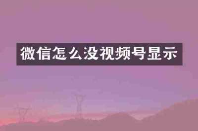 微信怎么没视频号显示