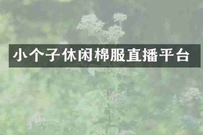 小个子休闲棉服直播平台