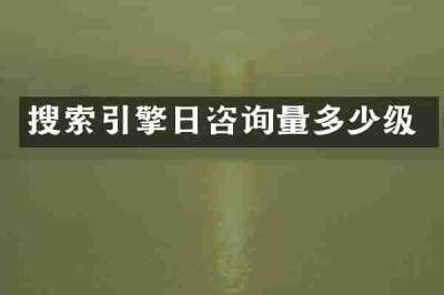 搜索引擎日咨询量多少级