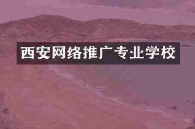 西安网络推广专业学校