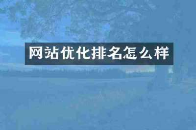网站优化排名怎么样