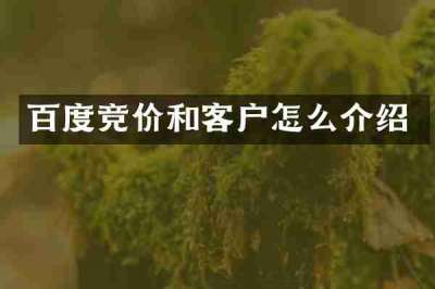 百度竞价和客户怎么介绍