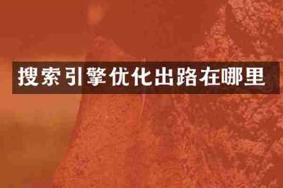 搜索引擎优化出路在哪里