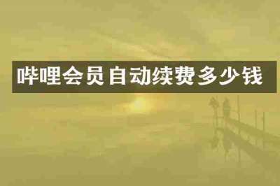 哔哩会员自动续费多少钱
